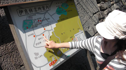 Nagasaki1.jpg